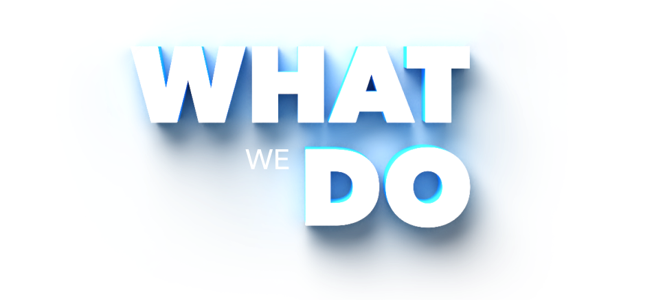 What We Do